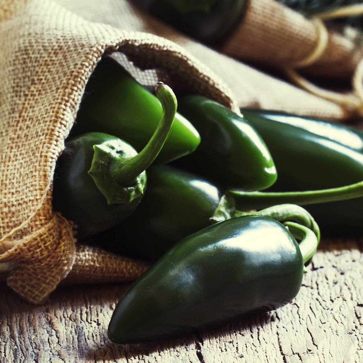 Are Jalapeno Peppers Very Hot? - One Stop Chilli Shop