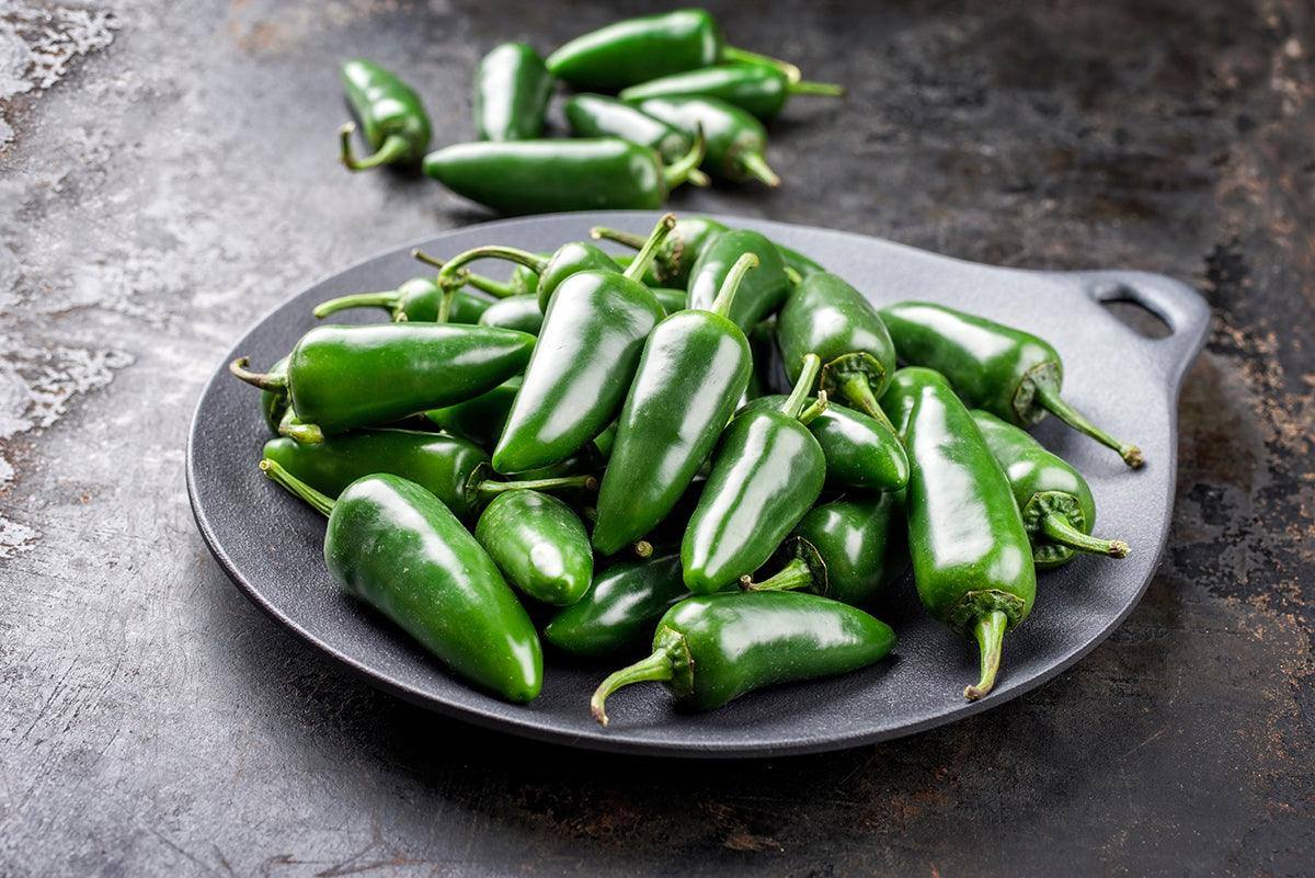 Jalapeno Hot Sauce (Ideal for beginners) - One Stop Chilli Shop
