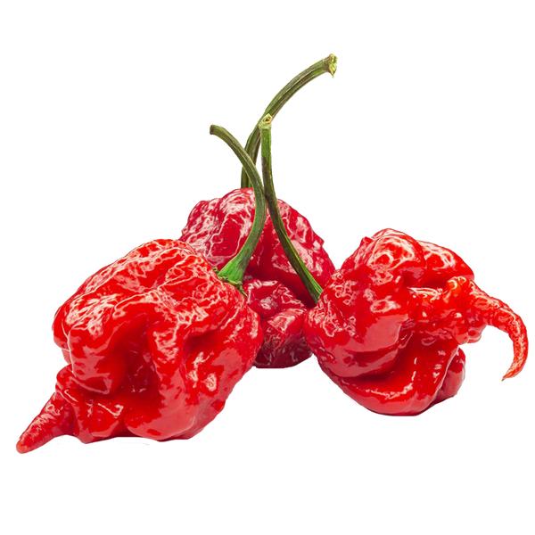 Fresh chilli